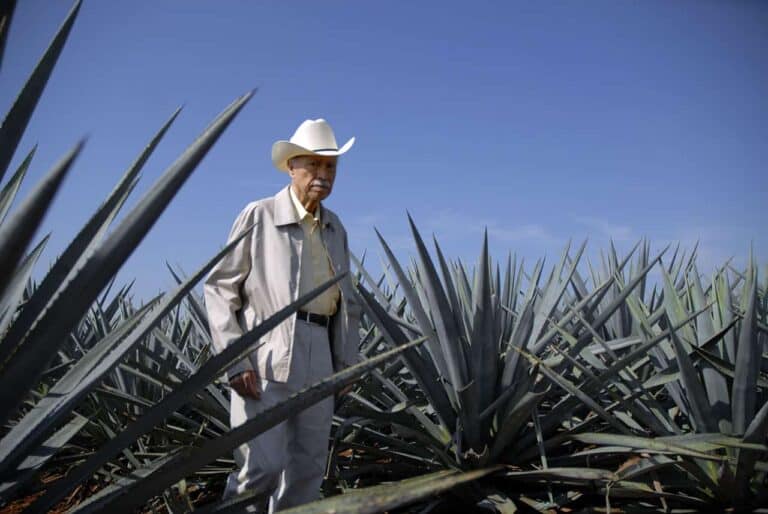 don julio walking