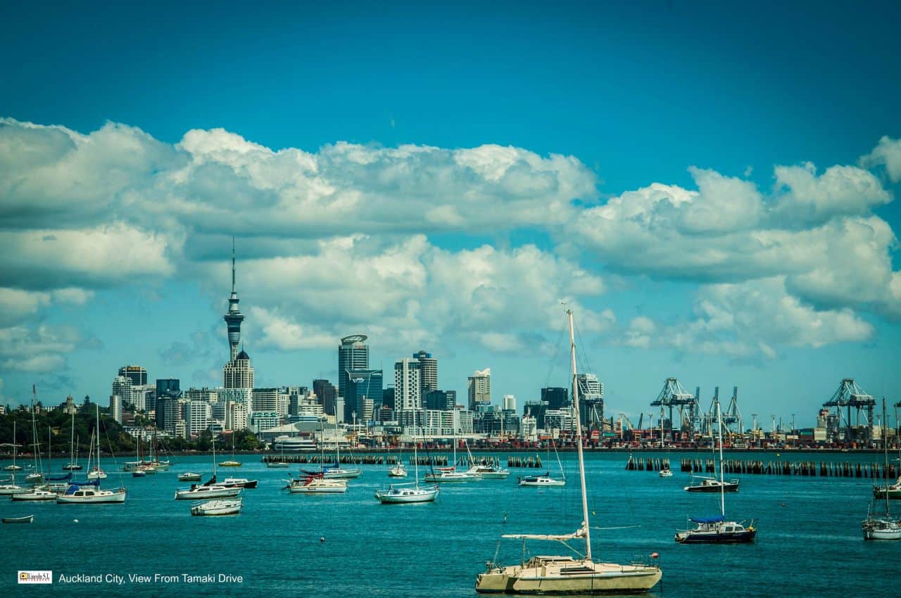 auckland by boat
