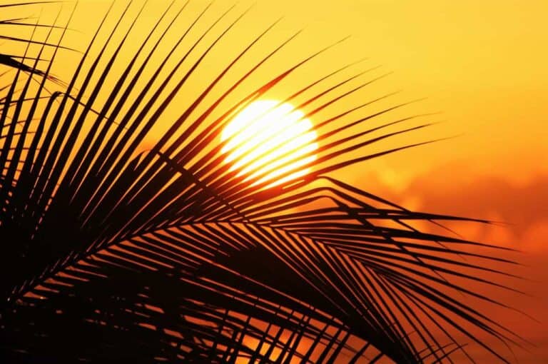 beautiful sun setting
