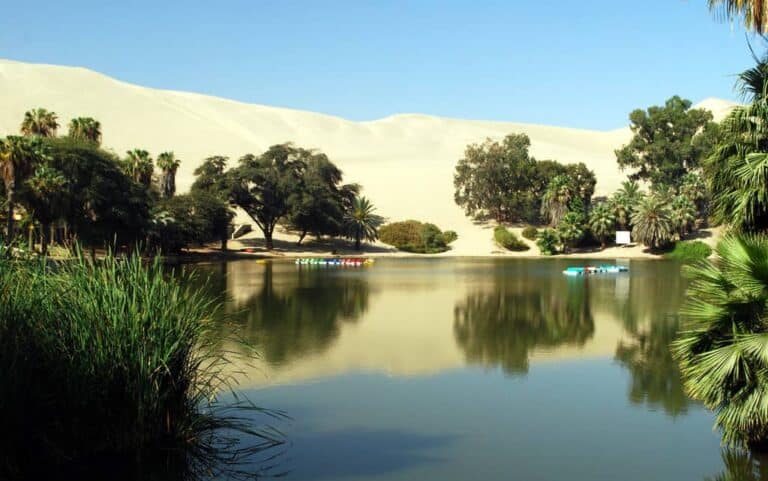 desert oasis