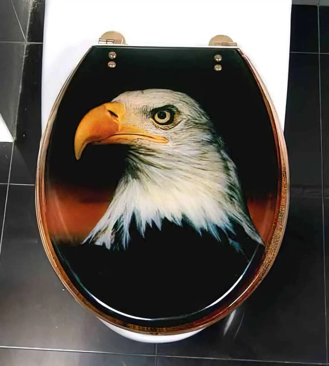 eagle toilet seat