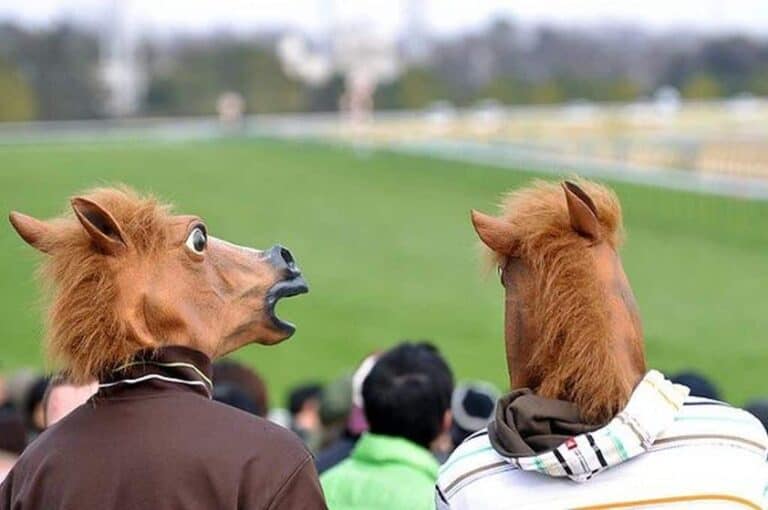 horse racing masks