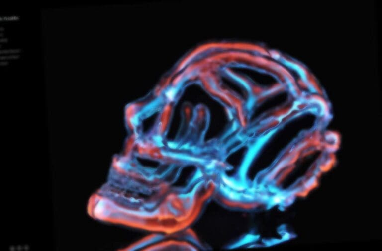 neon skull frank