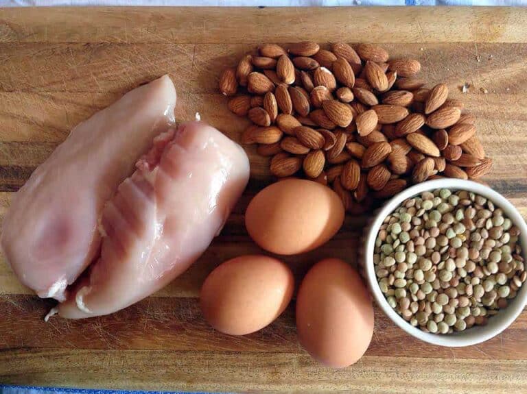 protein rich foods