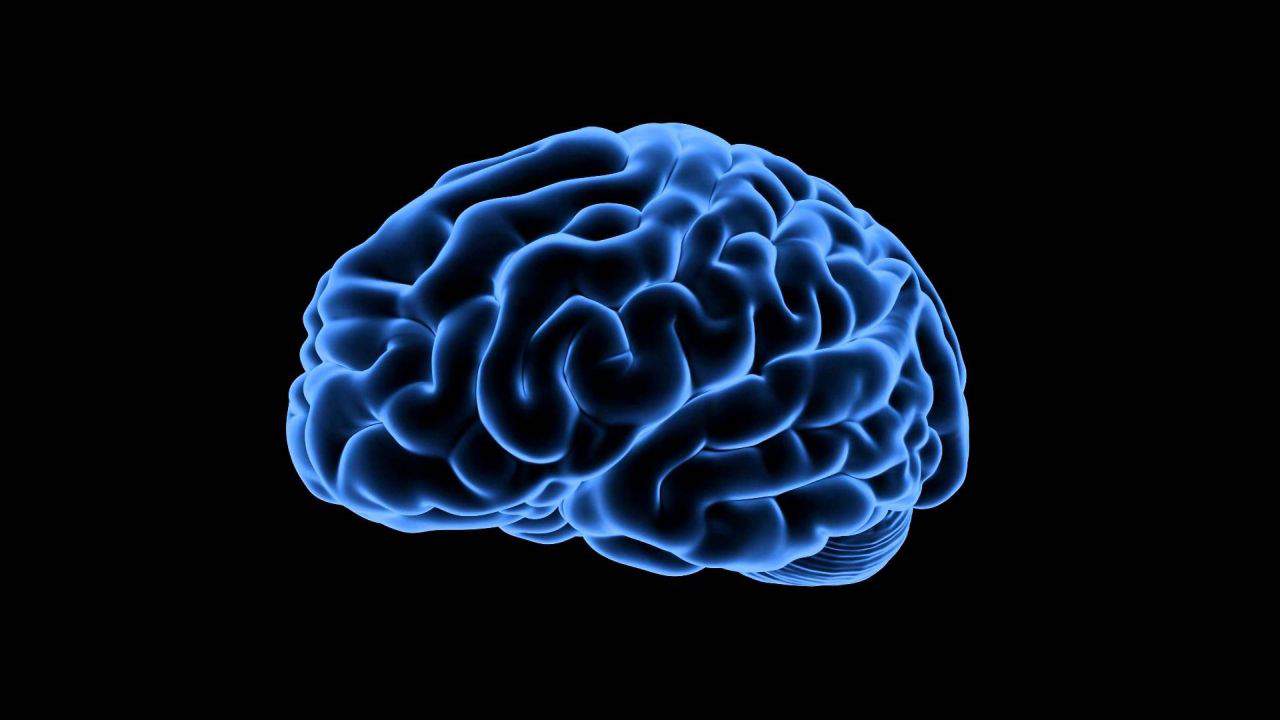 human brain blue