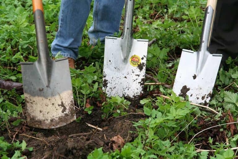 people gardening