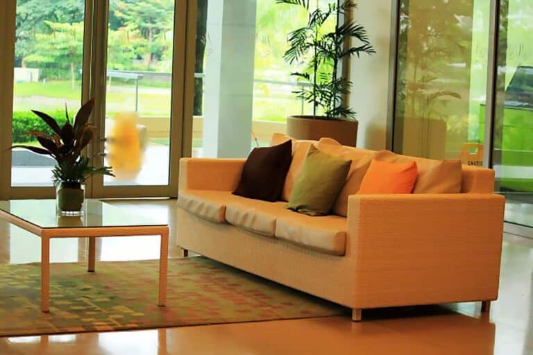 fancy living room couch