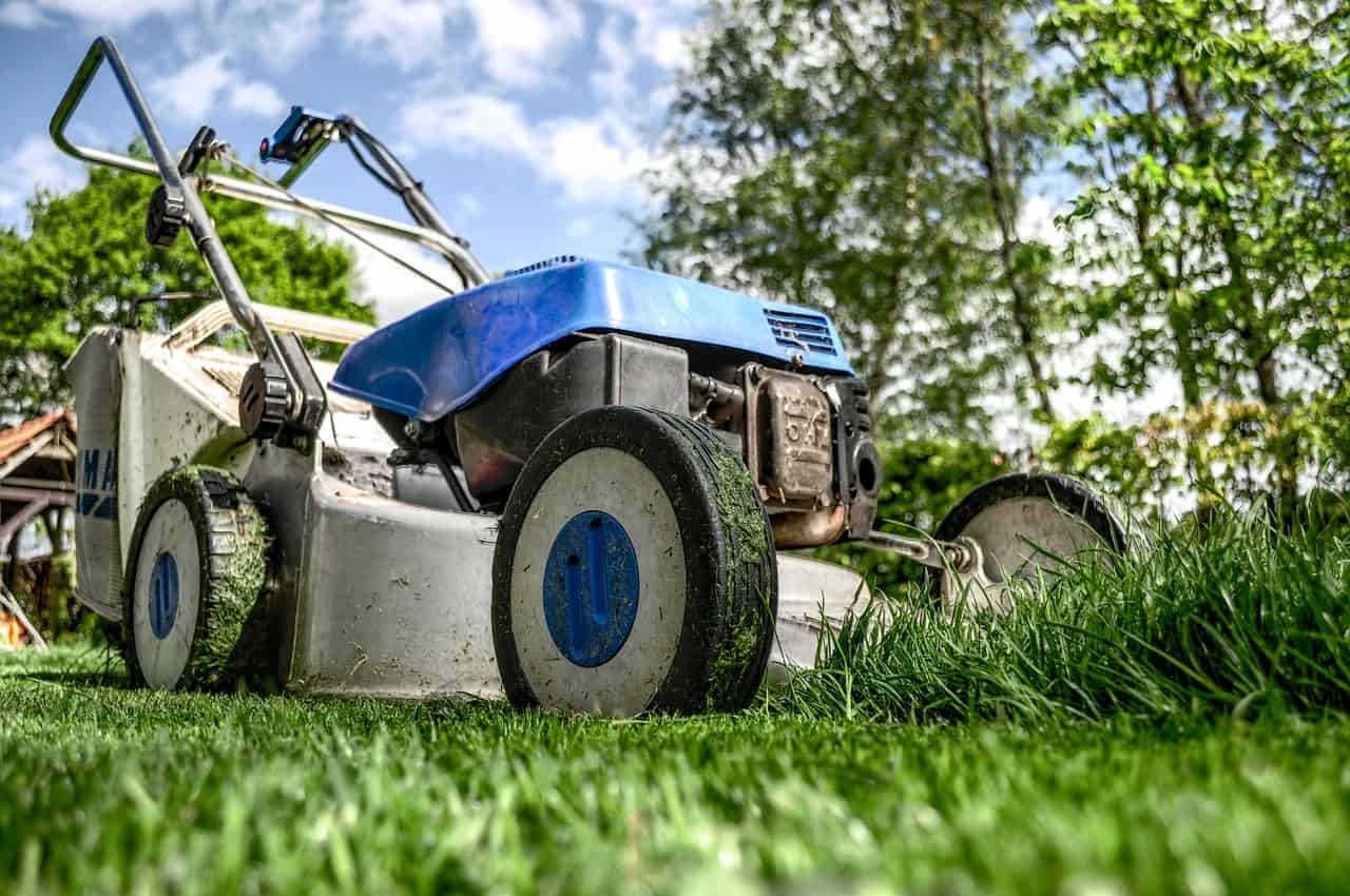 5 Useful Tips For Lawn Care In Summer