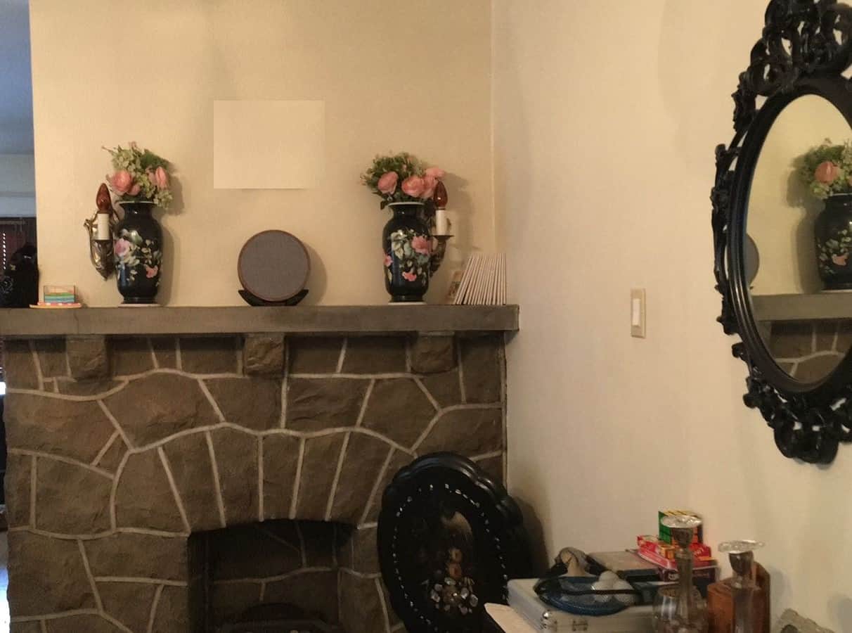 Art or Speaker? With Tivoli, I Got Both. 5 63522a98 351f 4de0 8fc4 ea0f44702b19