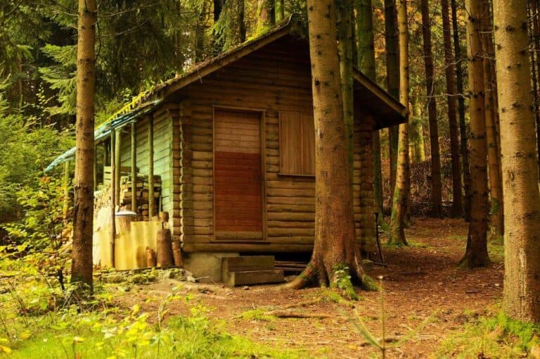 cabin in the woods