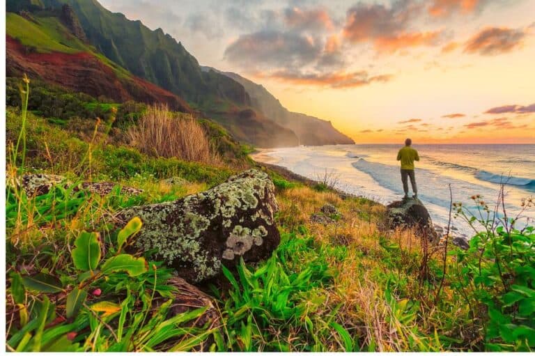 really nice hawaii