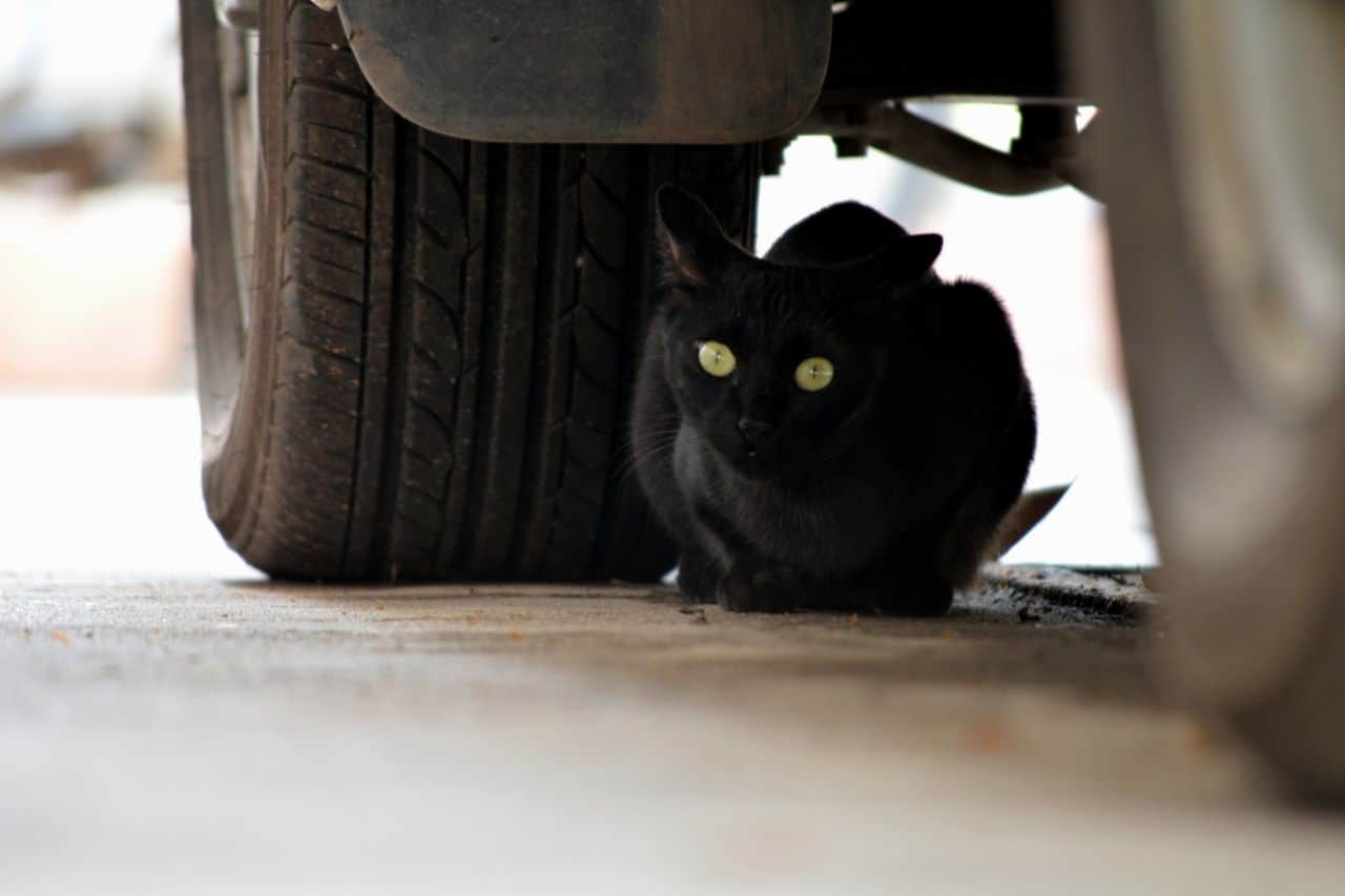 3 Car Tyre Safety Checks You Need to Make