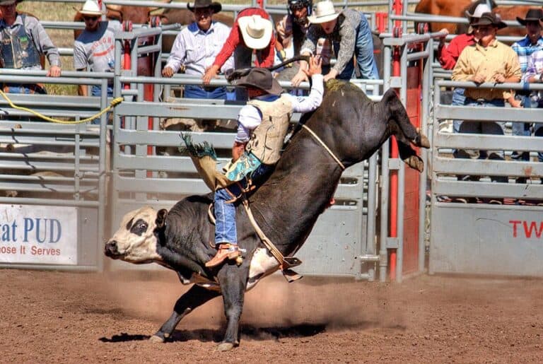 man doing rodeo