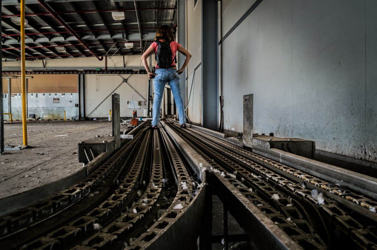 What’s New in the World of Conveyor Belts? 1 conveyor belts