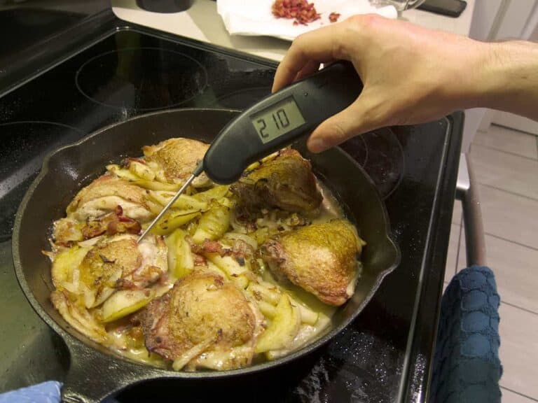 thermoworks thermapen mk4 8