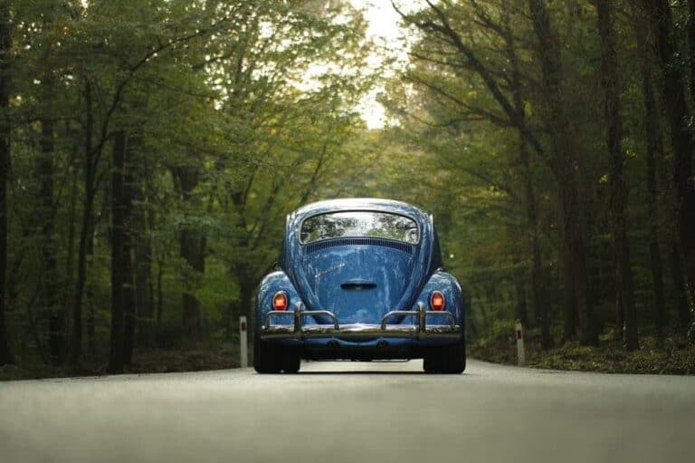 volkswagen beetle back