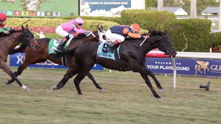more horses running