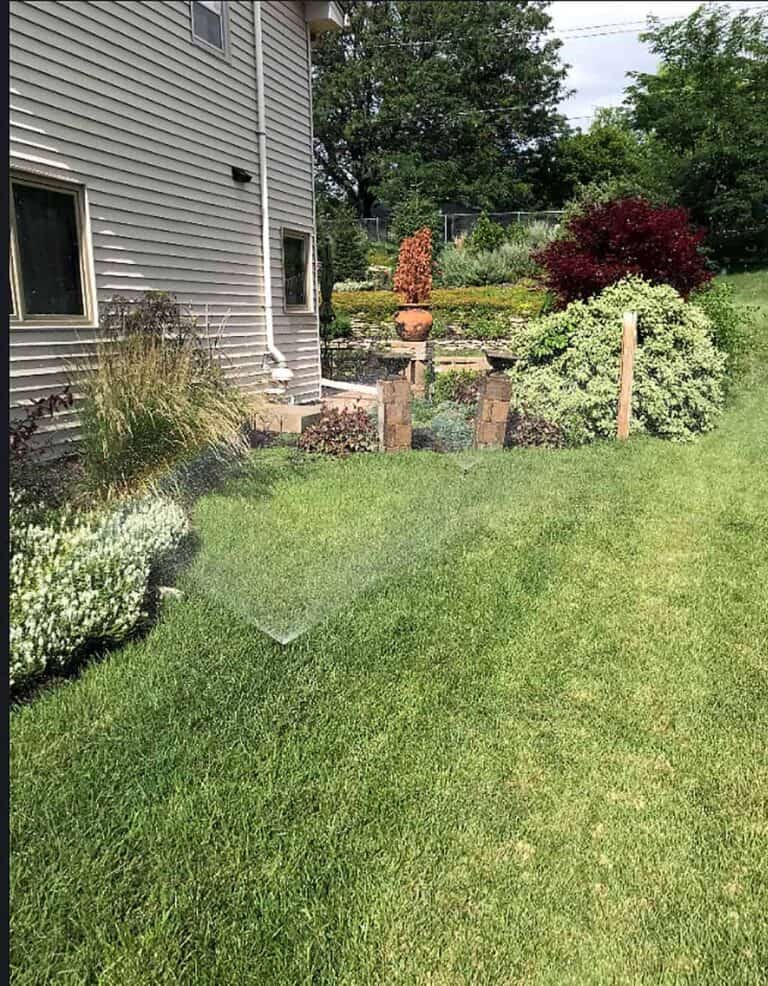 ranchio lawn