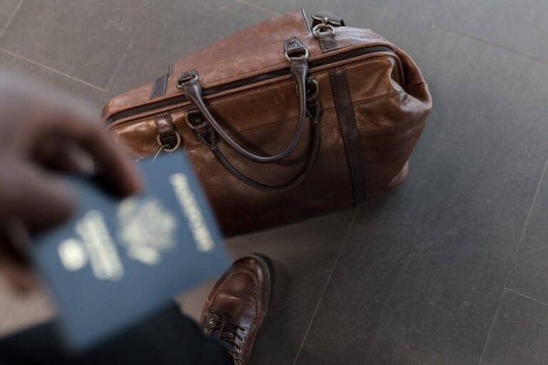 fancy travel bag