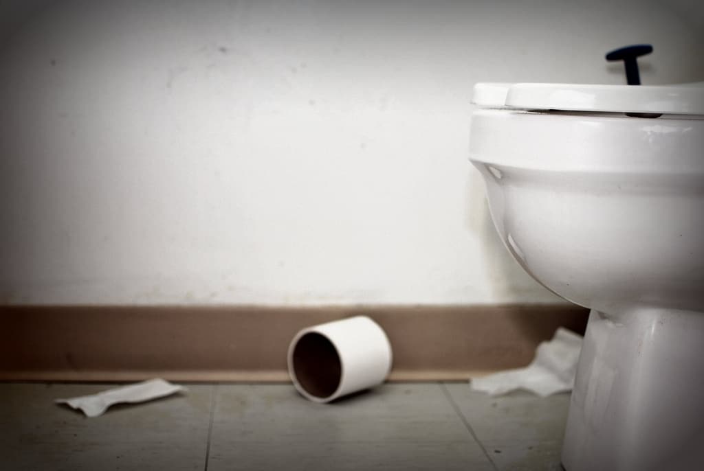 Are These Toilet Problems Facts Or Complete Myths?