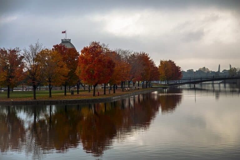 autumn montreal