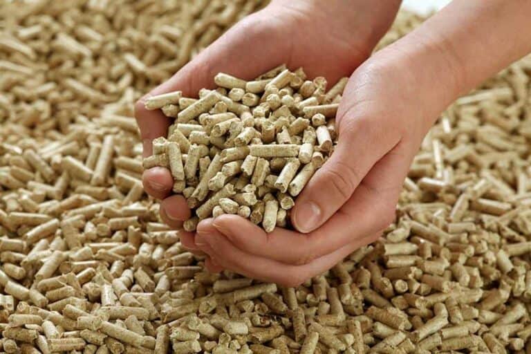 hands full wood pellets
