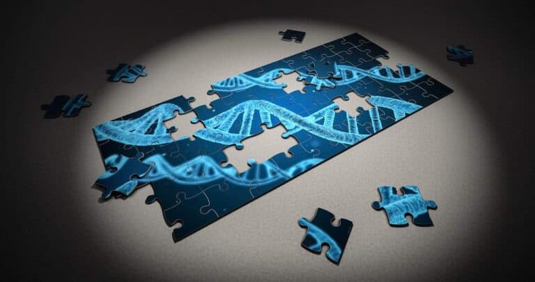DNA Strand Puzzle