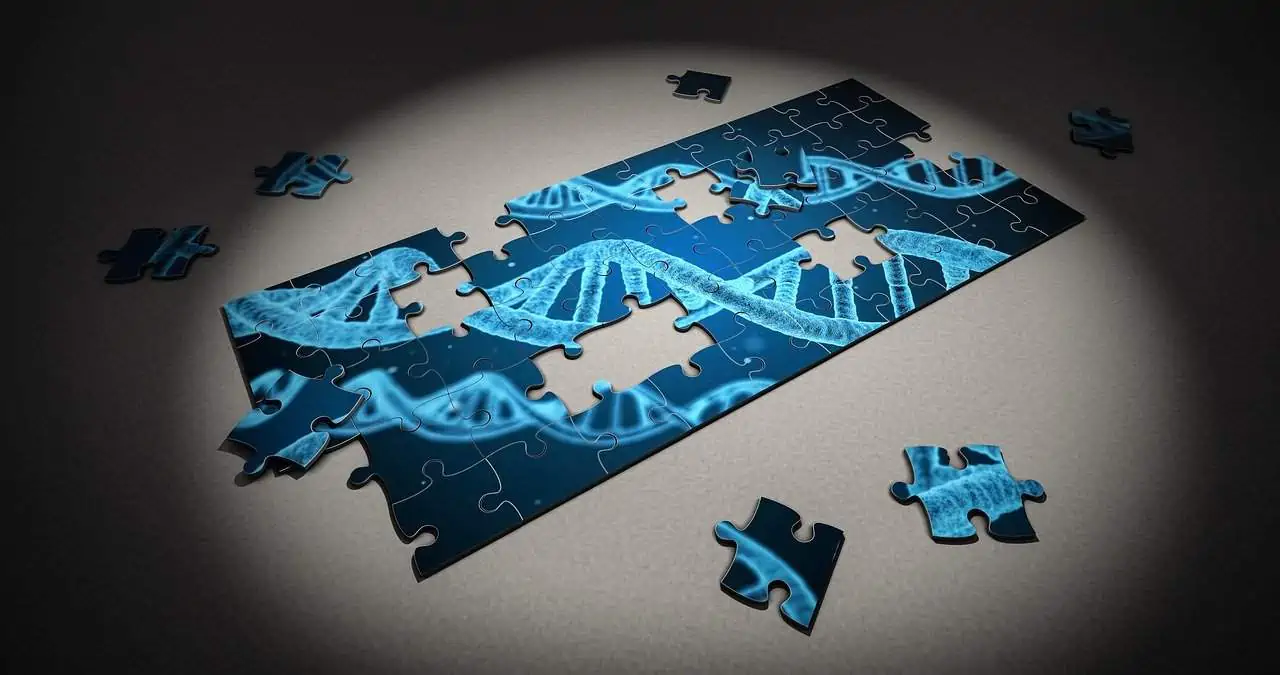 Best DNA Testing Kits Companies 1 DNA Strand Puzzle