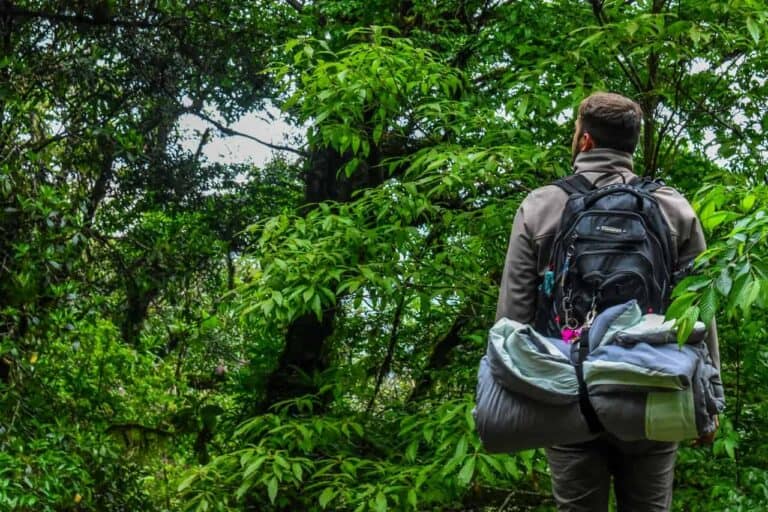 man looking at jungle