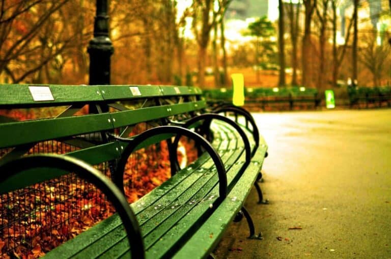 central park travel aesthetic