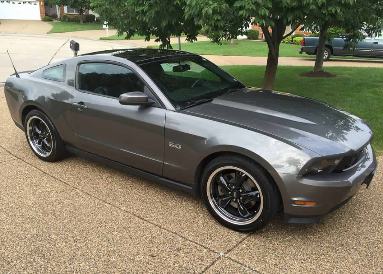 gray mustang