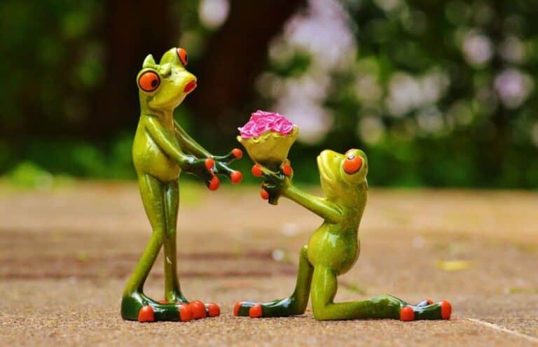 marriage proposal