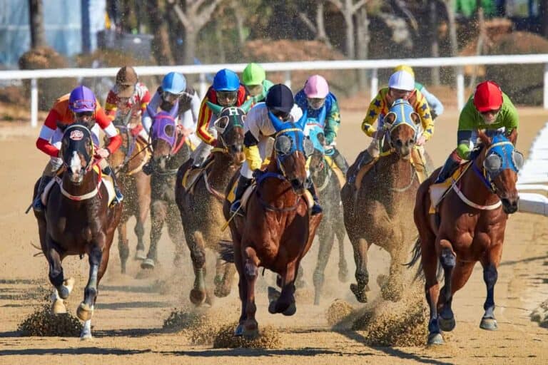 horse racing kentucky derby