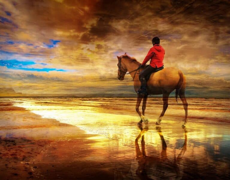 person riding horse