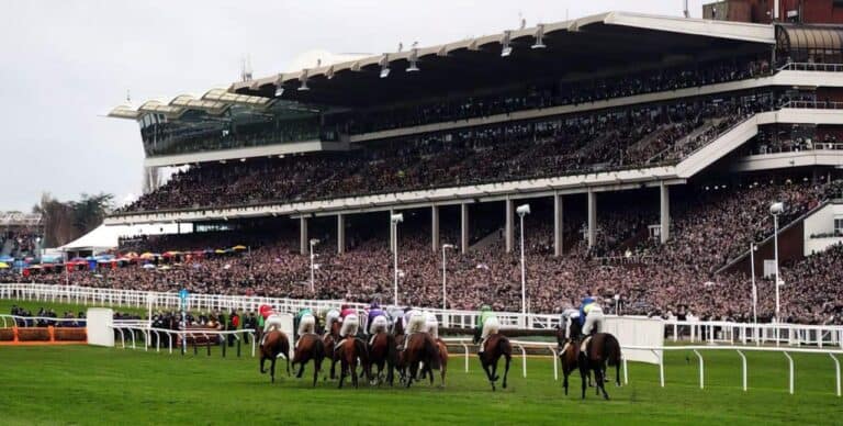Cheltenham Festival horse racing