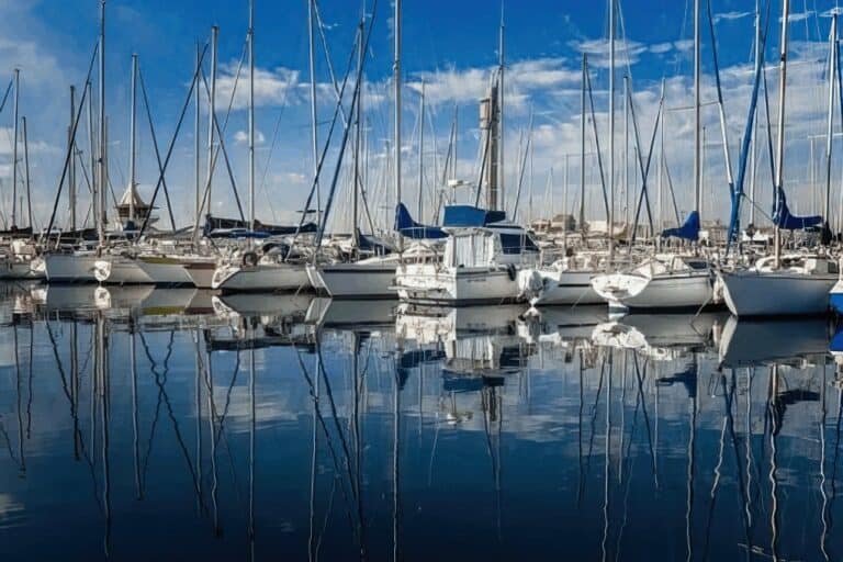 boats docked in a marina
