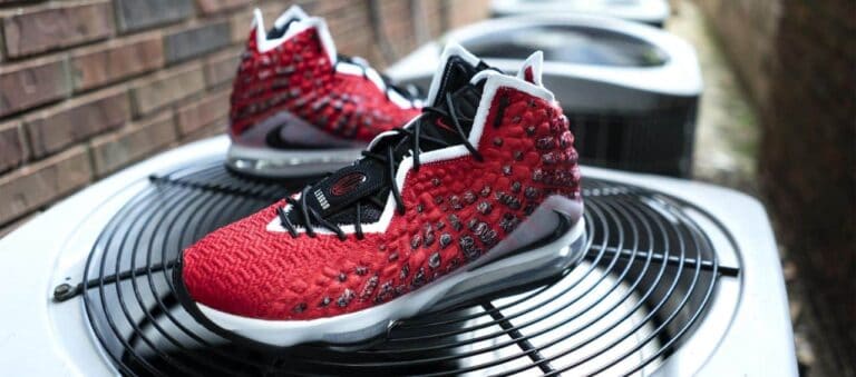lebron james sneakers