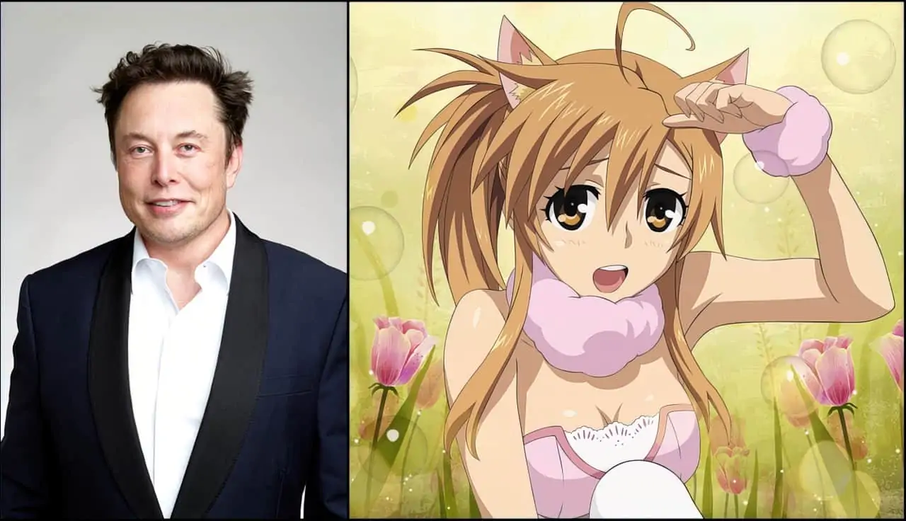 elon musk catgirls