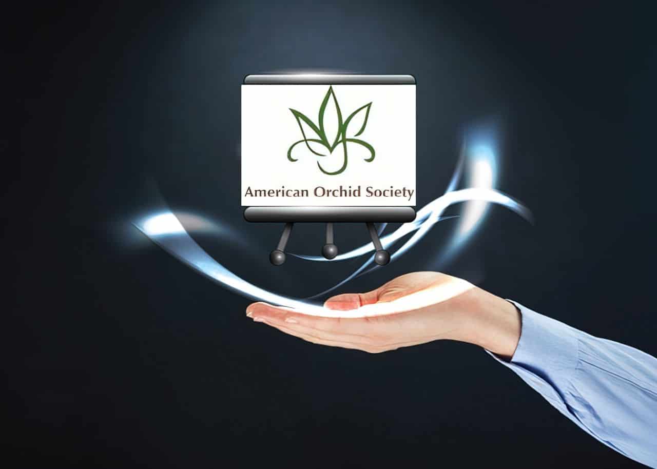 Top 12 Best ClickFunnels Website Examples 3 american orchid society