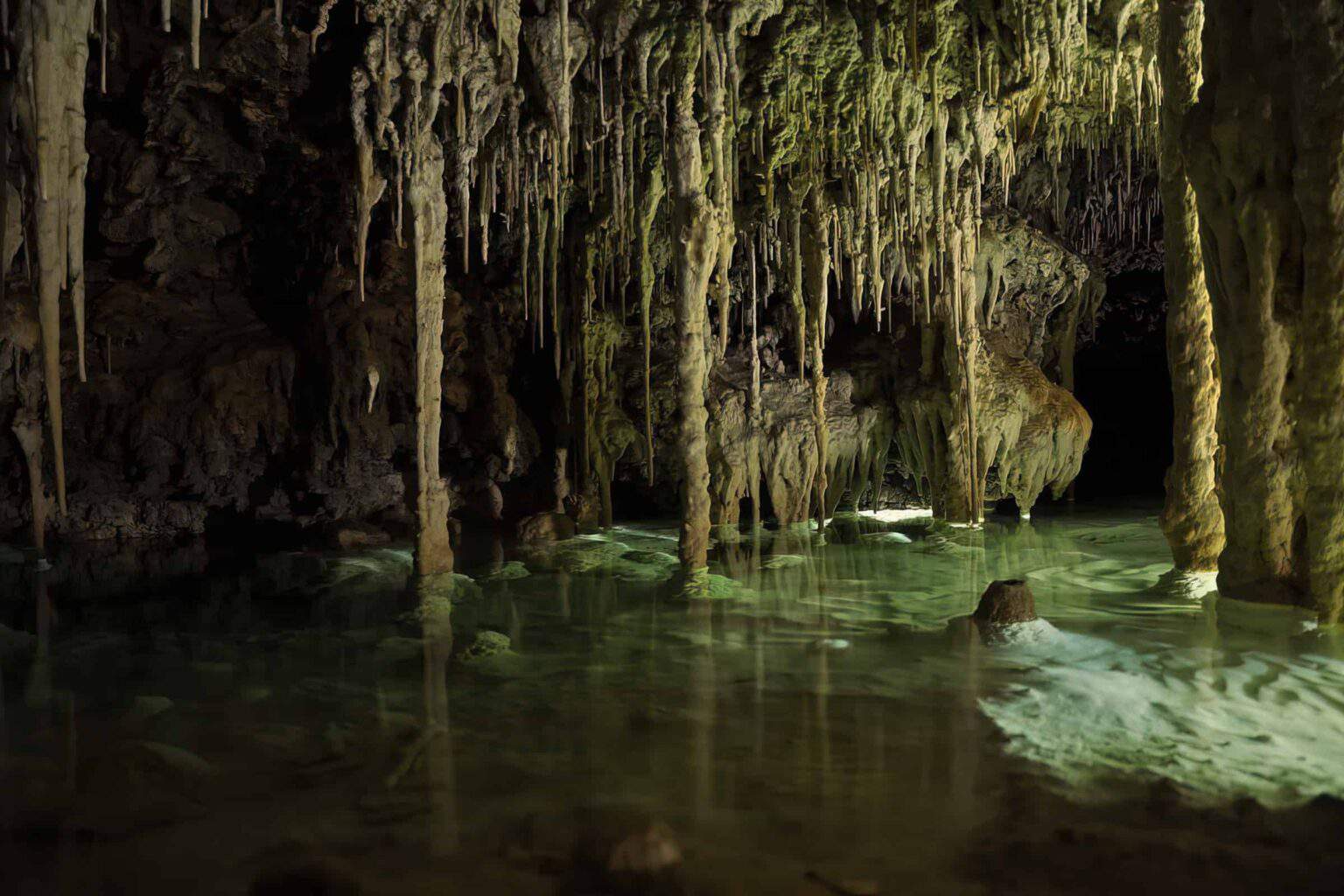 Exploring Underground Sinkholes (Cenotes) In The Riviera Maya, Mexico