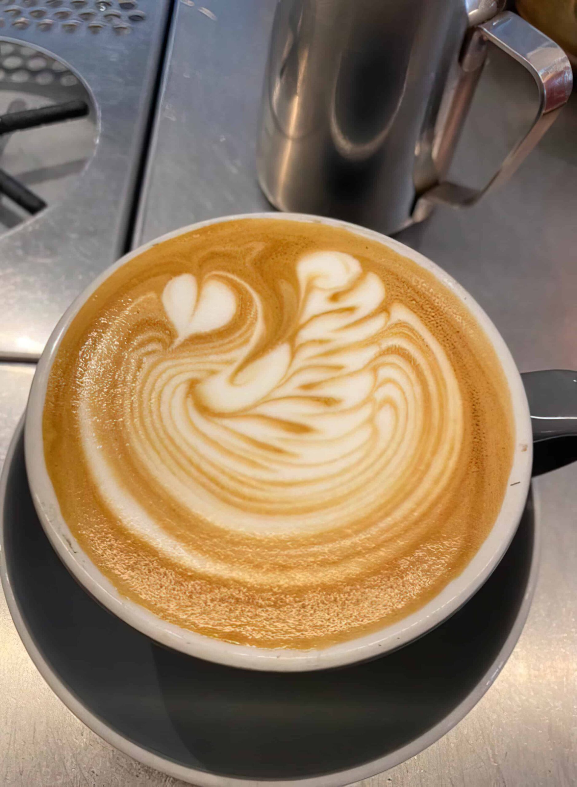 latte art of white swan scaled