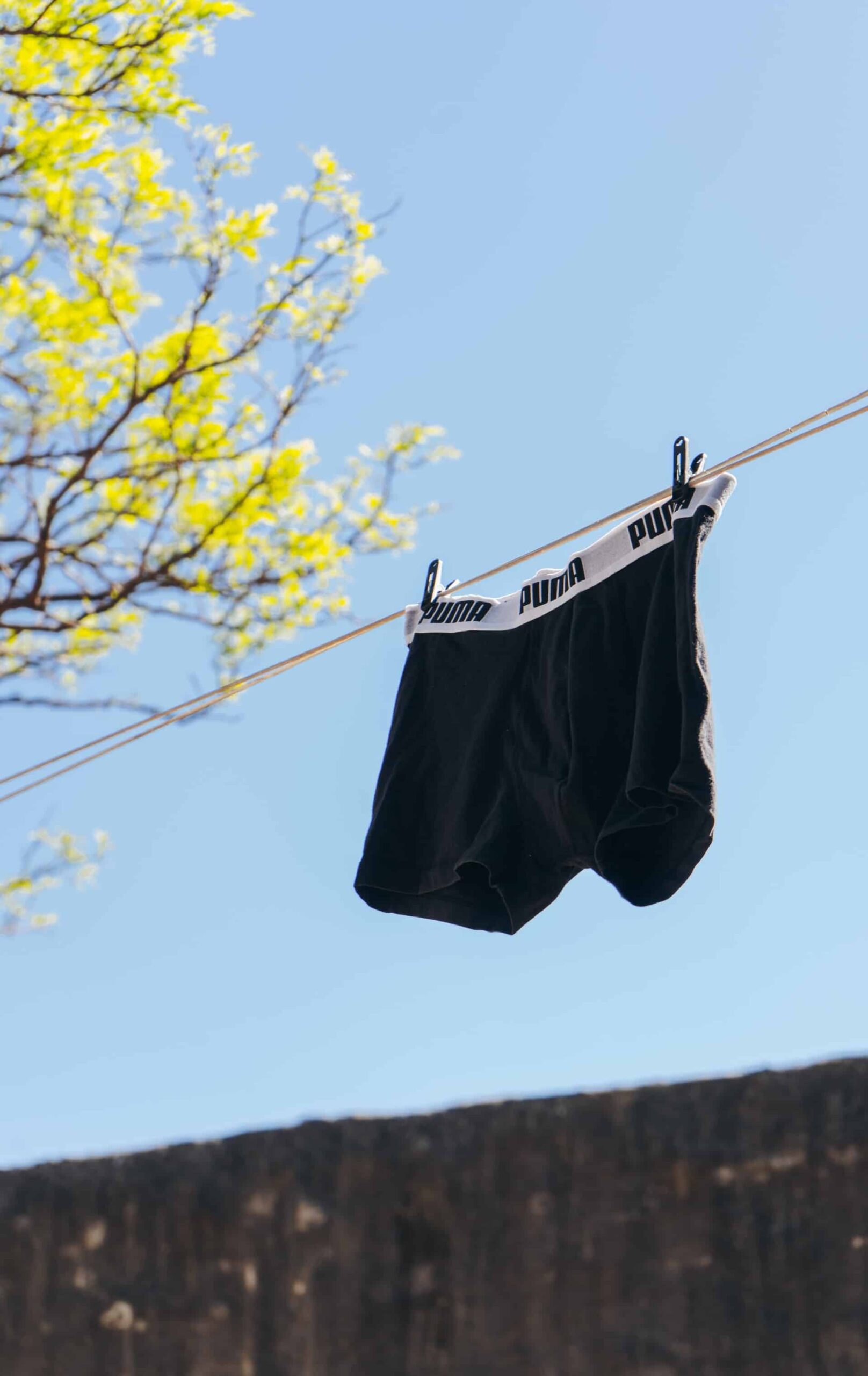 pair of puma underwear scaled
