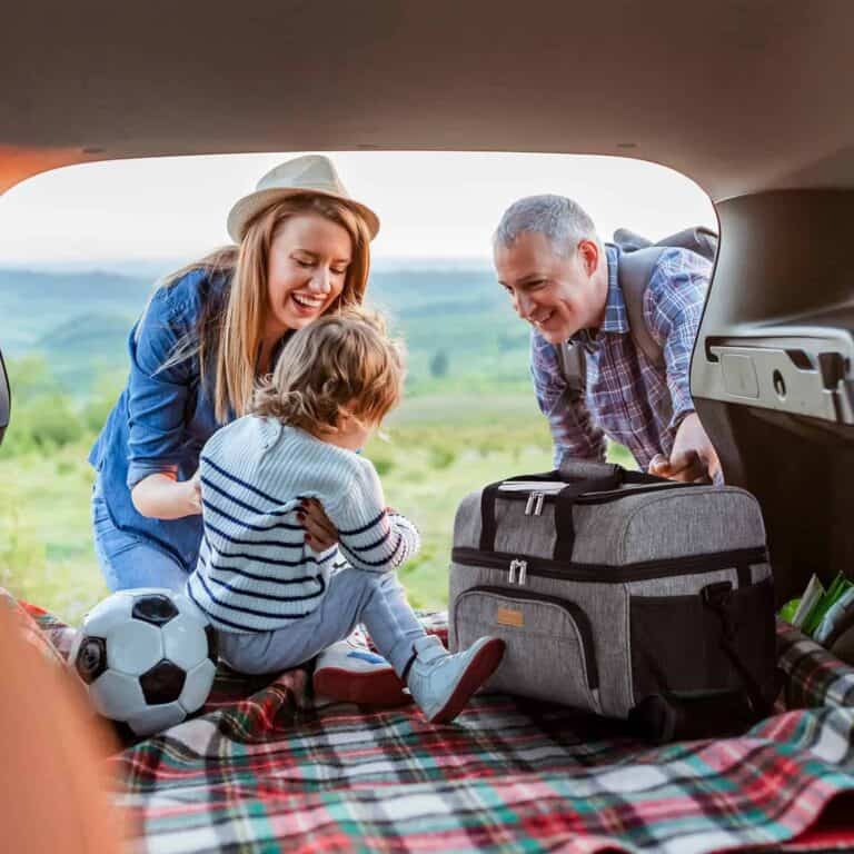 cooler bag for picnic
