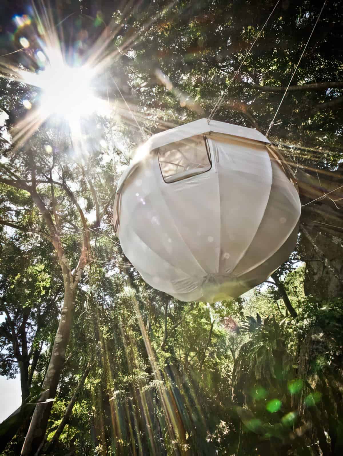 Cocoon Tree Tent - Like a Tree House But Better 8 Cocoon Tree Tent 1