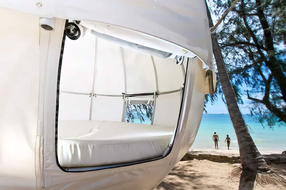 Cocoon Tree Tent - Like a Tree House But Better 7 Cocoon Tree Tent 2