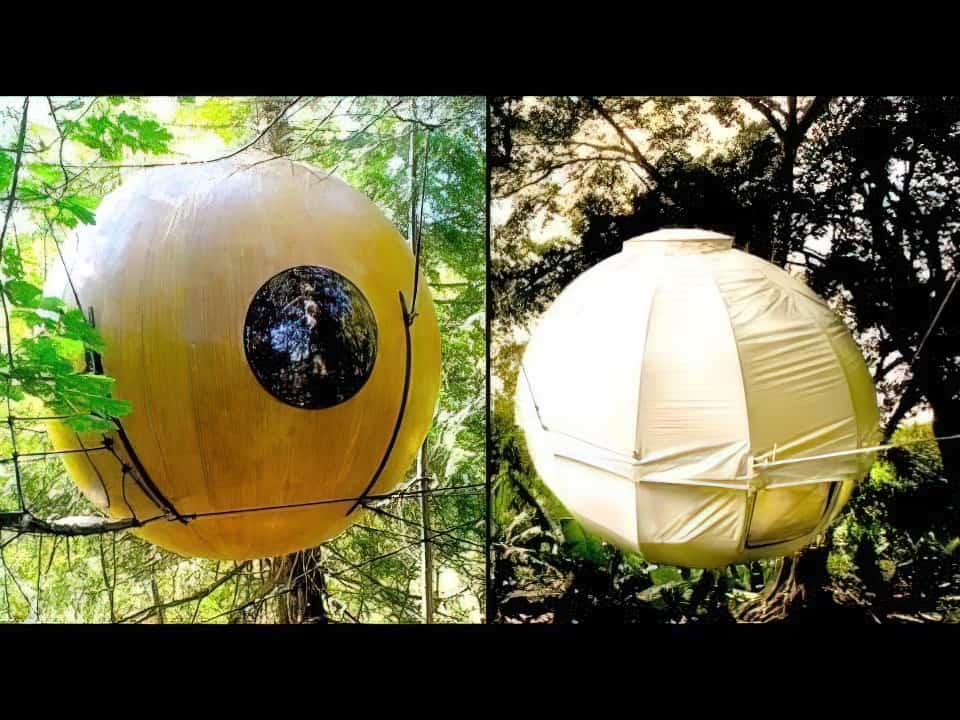 Cocoon Tree Tent - Like a Tree House But Better 11 cocoon tree tent unfinished man