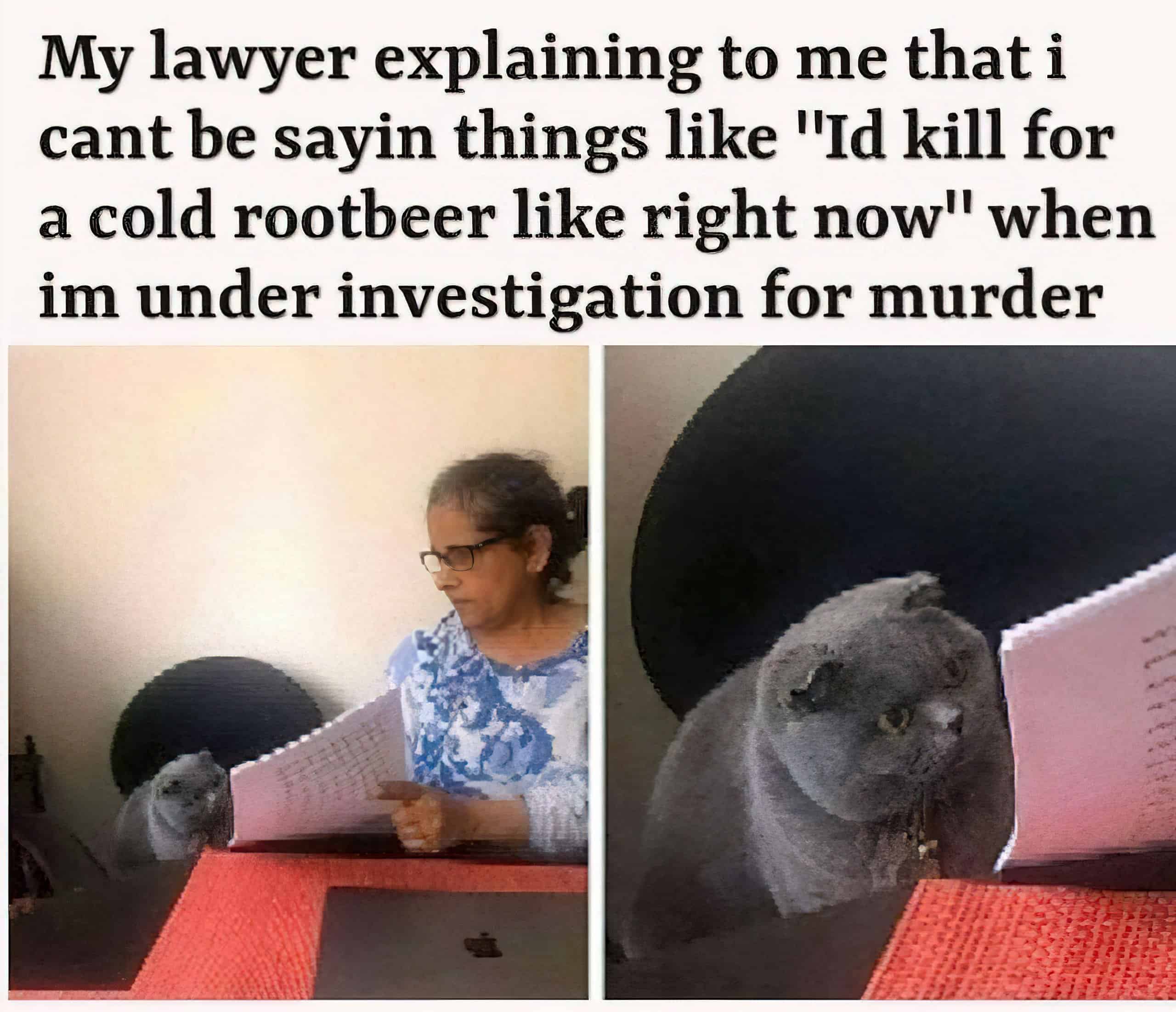 funny lawyer memes 6