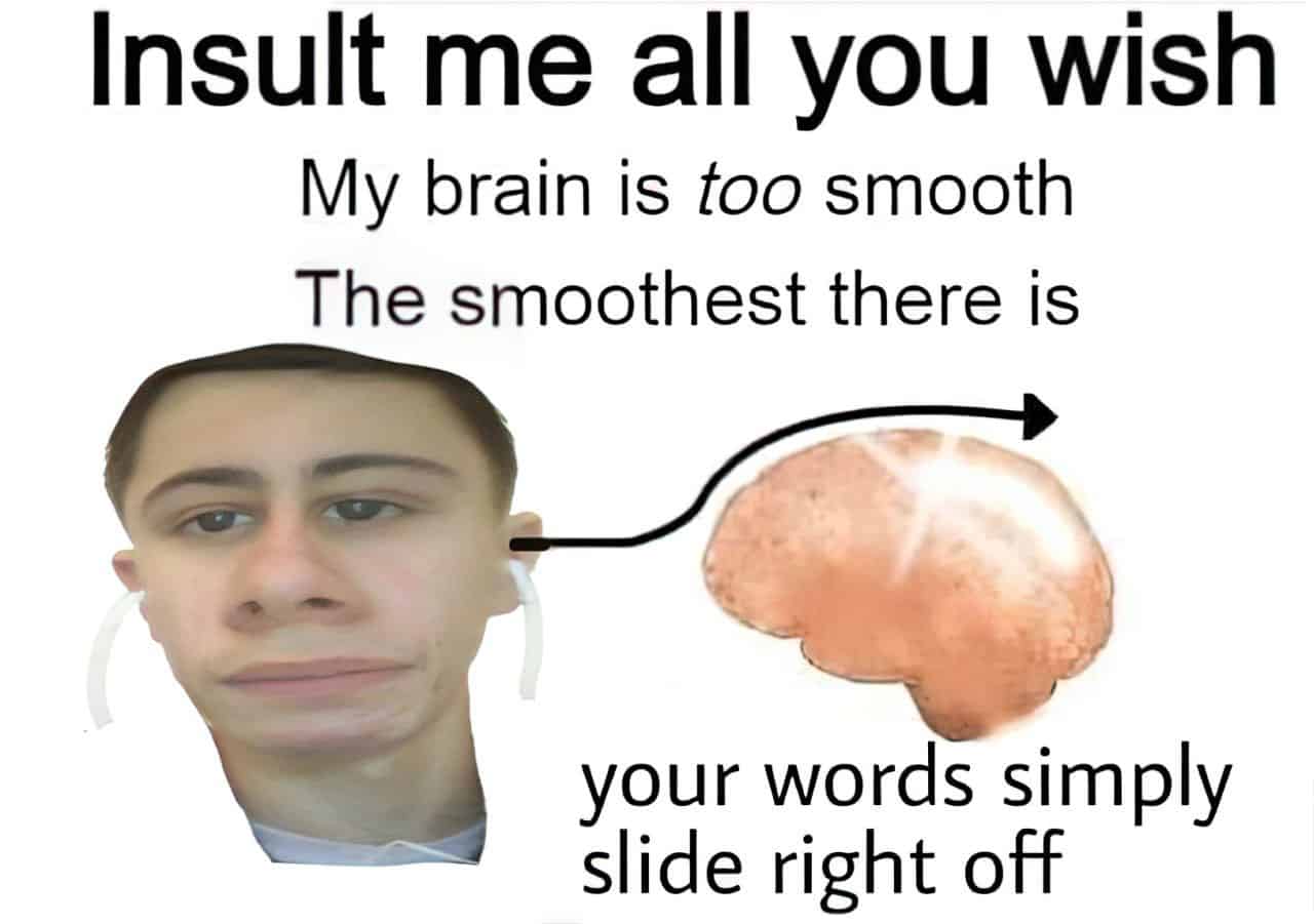 funny smooth brain meme
