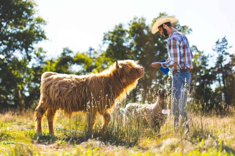 Noah Young Farming