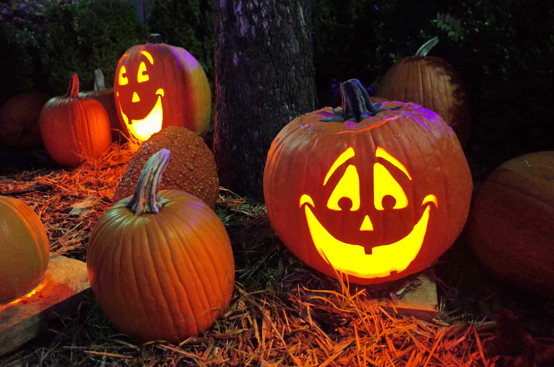 Ideas And Tips: Decorate Your Home For Halloween 2 jackolantern halloween decorations